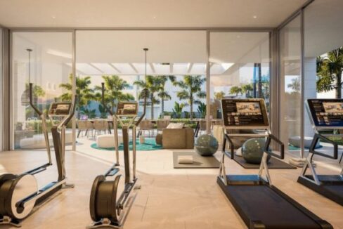 TREETOPS-Nvoga-Marbella-Realty-gym-1024x466-1-otf1jcx61wldbozd7lwijr7j5hjcbempg21ye2f2qo
